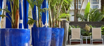 Four Points By Sheraton Los Angeles Int'l Airport