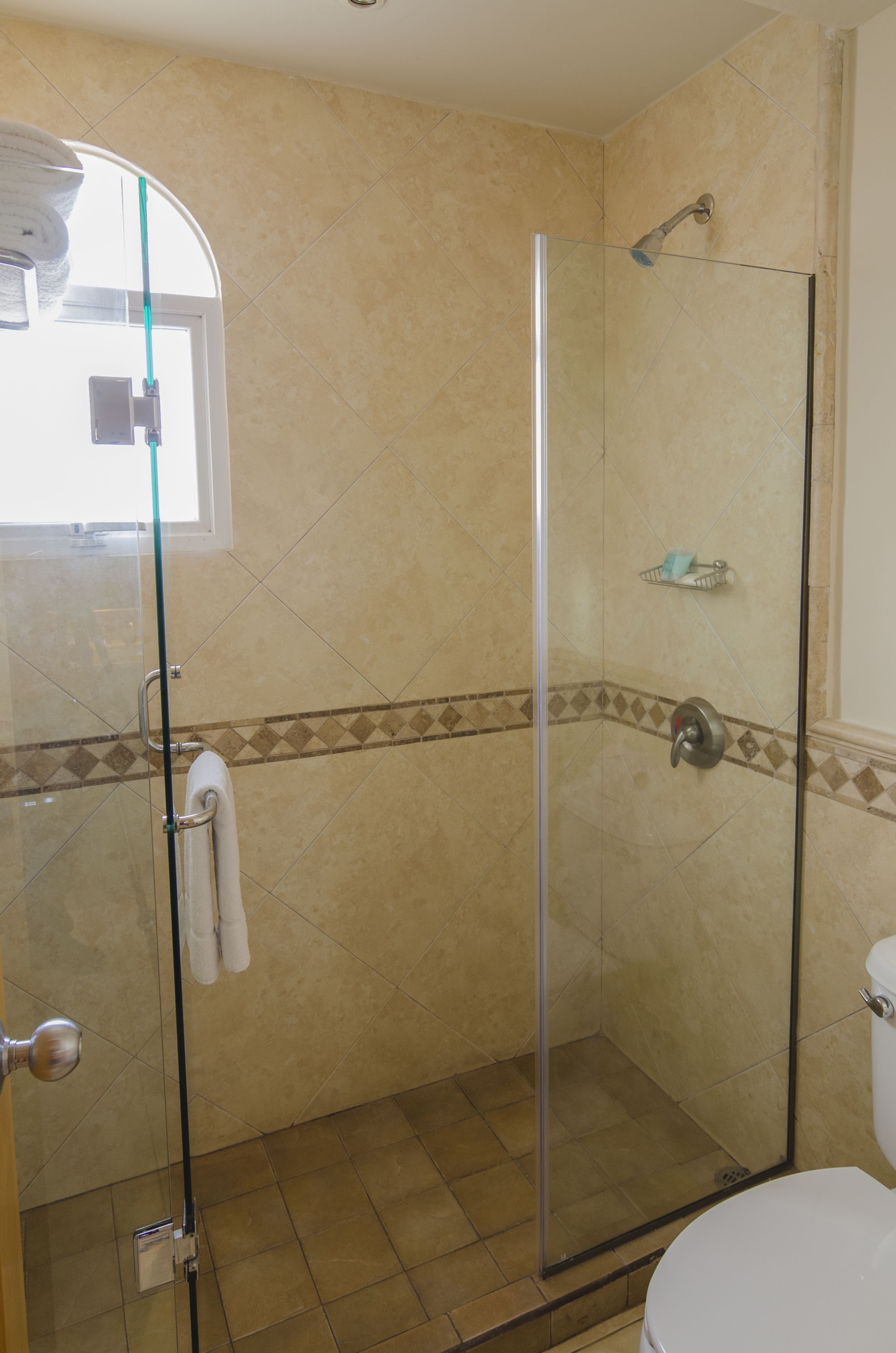 A glass-enclosed shower stall with a white toilet and a towel rack.