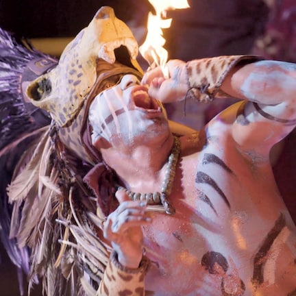 A person with a headdress and painted body in a ceremonial or performance setting.