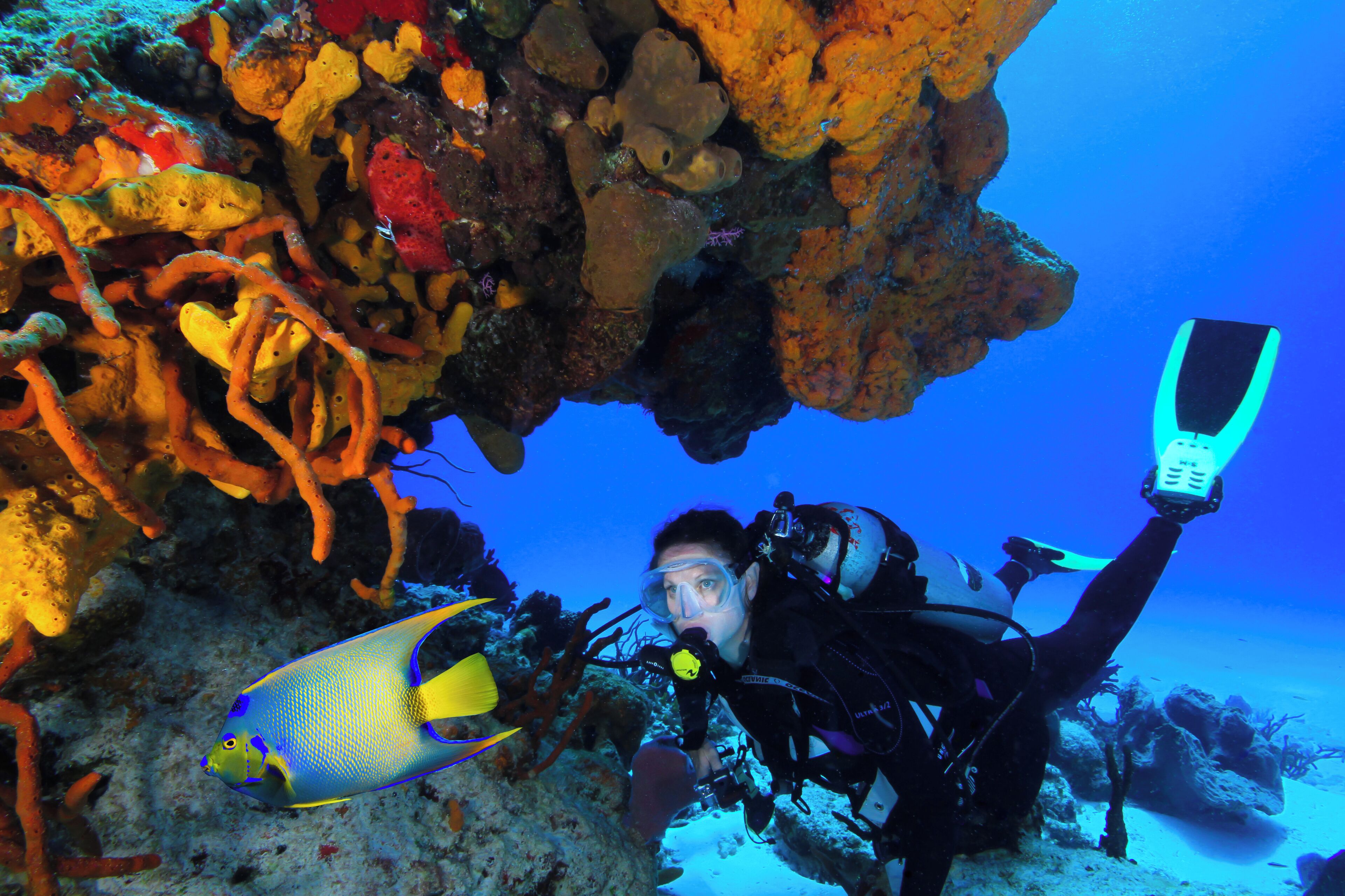 A diver underwater with a fish nearby, surrounded by coral and rocks.
