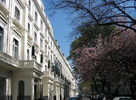 A row of classic white buildings with ornate balconies and a tree with pink blossoms in the foreground.