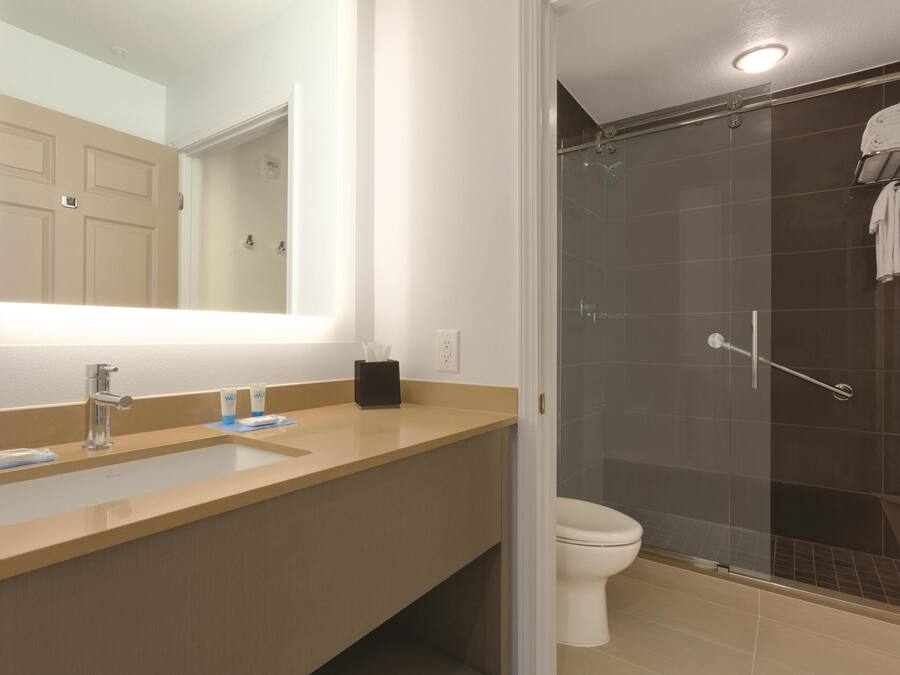 Une salle de bain avec un grand miroir, un lavabo et un espace douche.