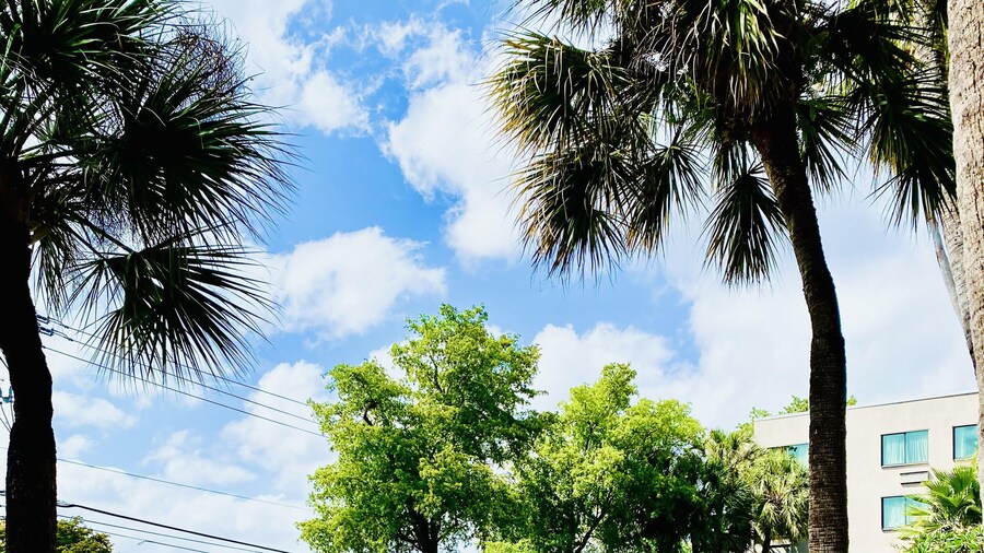 La Quinta Inn & Suites by Wyndham Ft Lauderdale Cypress Cr