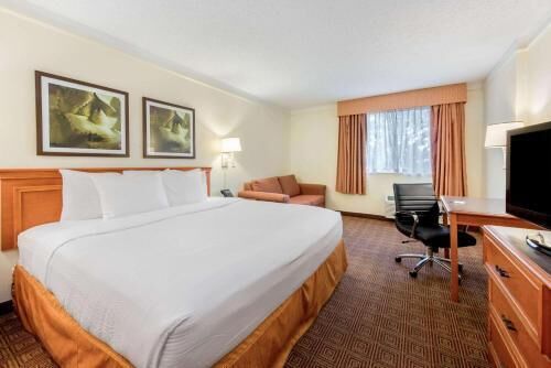 Pillowtop beds, desk, blackout drapes, iron/ironing board