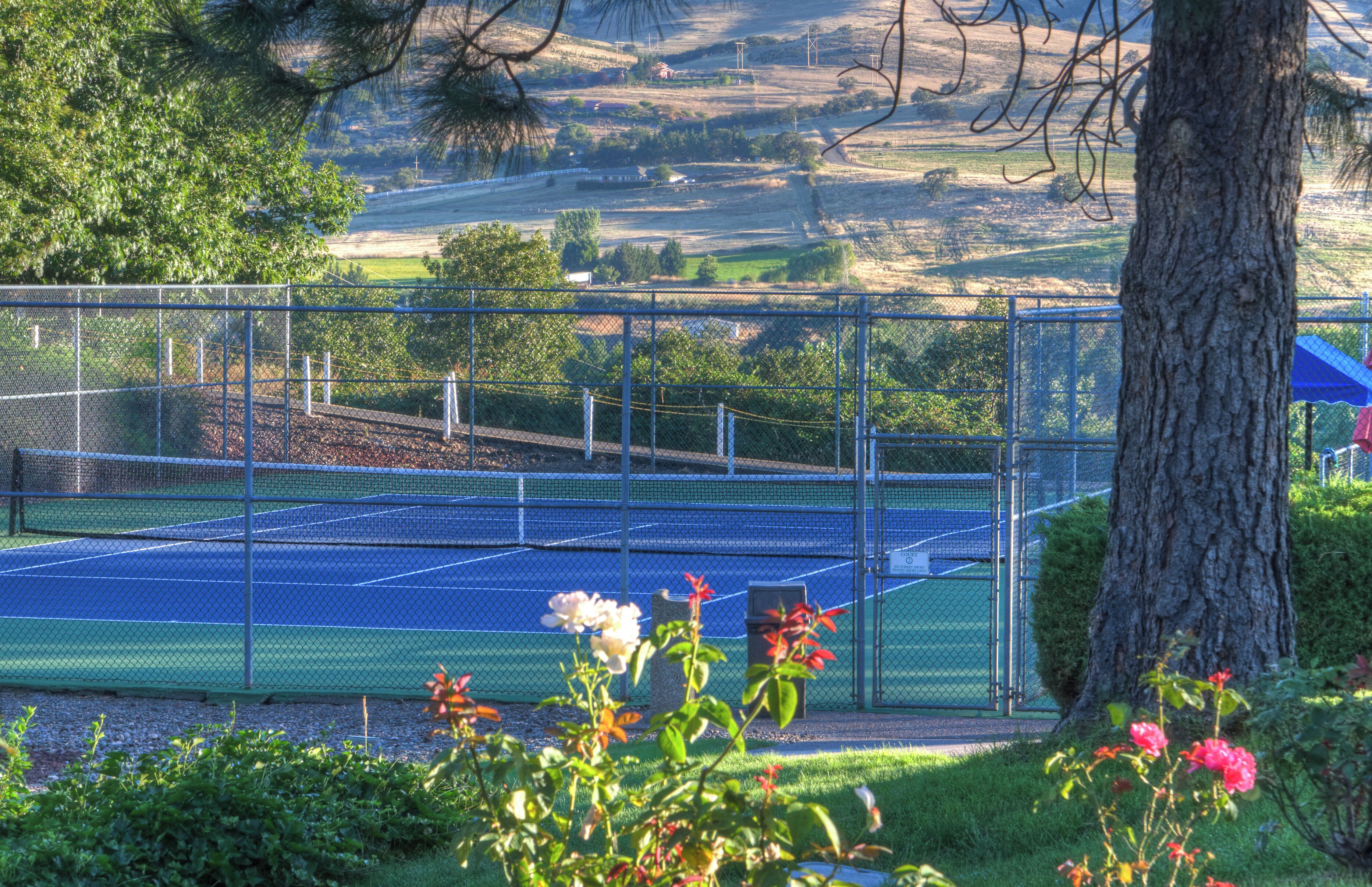 Cancha de tenis