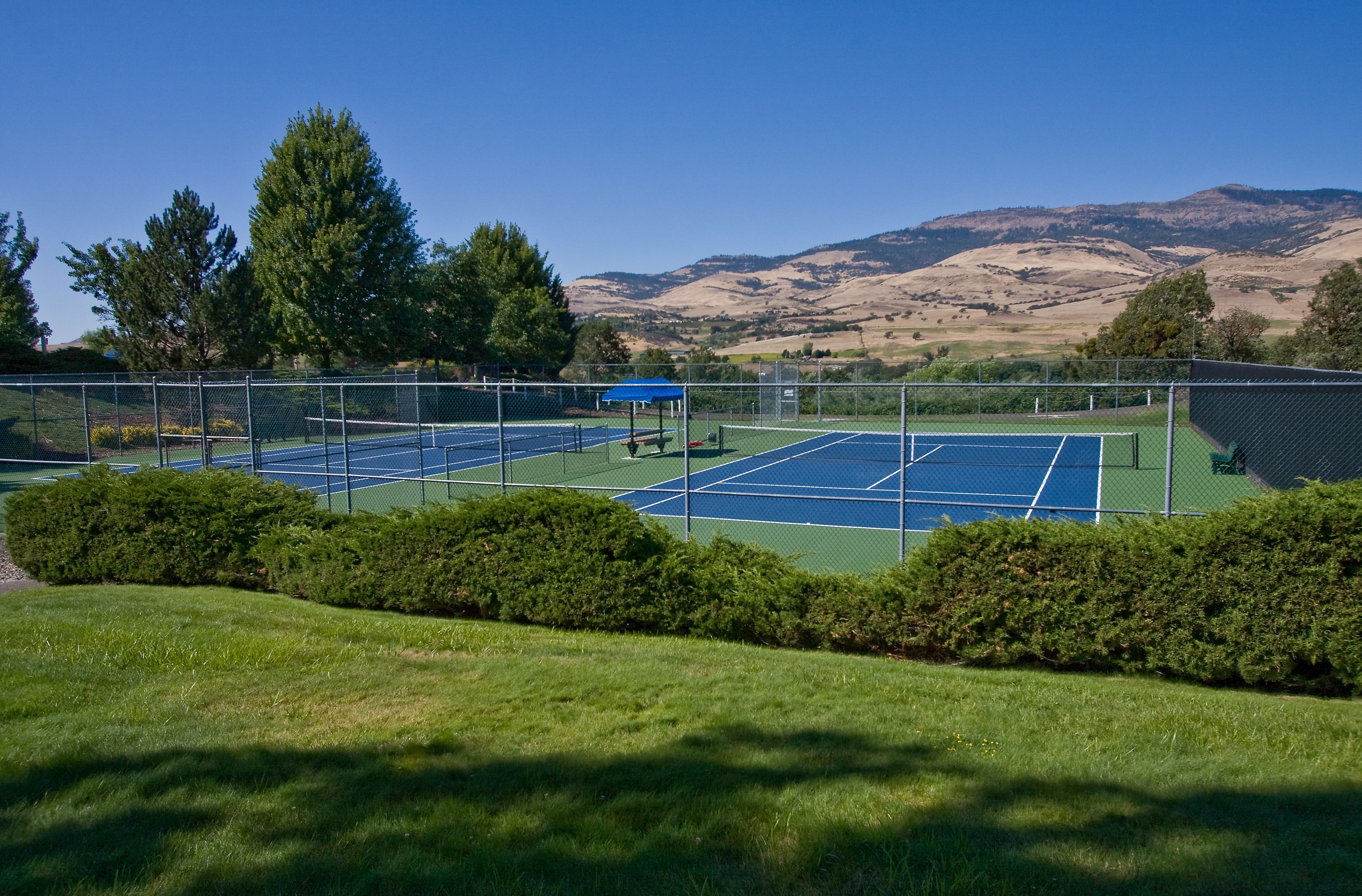 A tennis court with a blue surface, surrounded by a chain-link fence, and a blue-roofed pavilion.