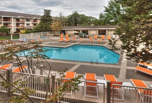 Outdoor pool, pool loungers