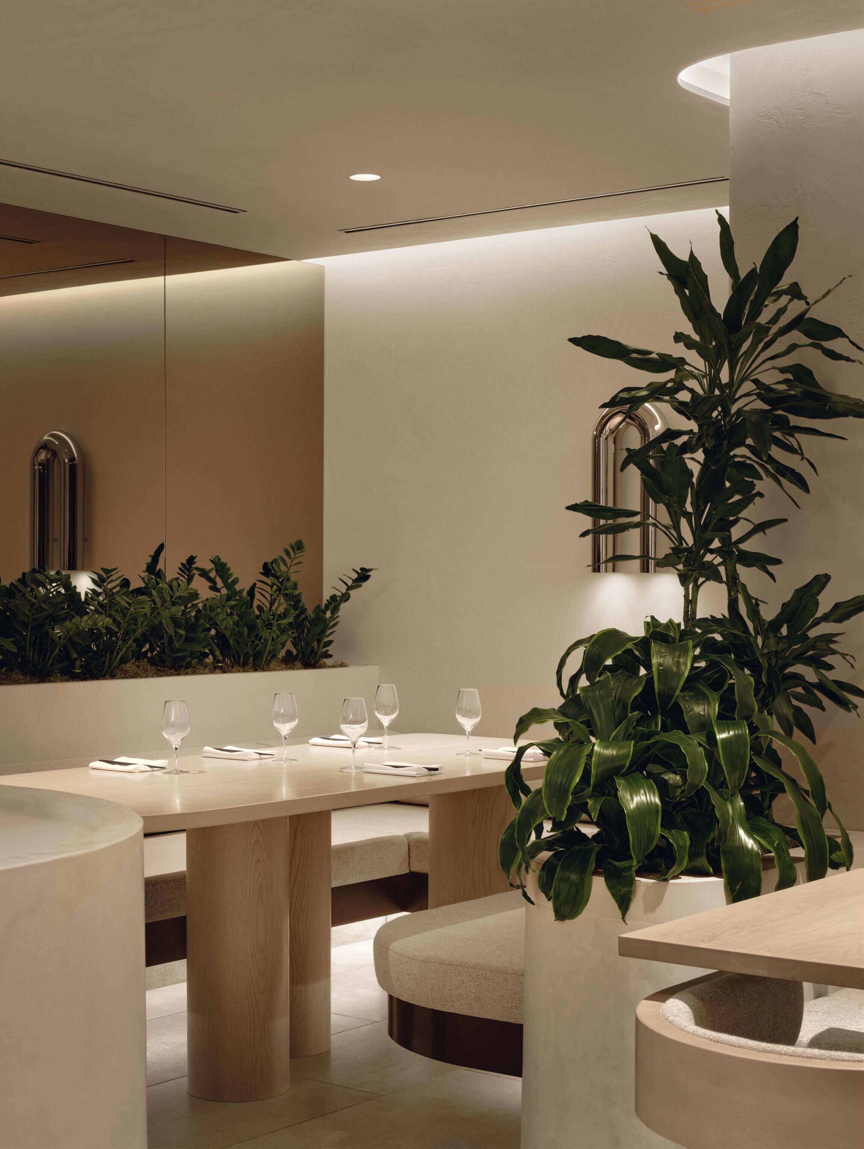 A modern dining area with round tables, chairs, and potted plants.
