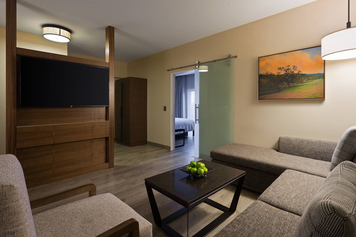 A modern living room with a flat-screen TV, a coffee table with apples, and a painting on the wall.