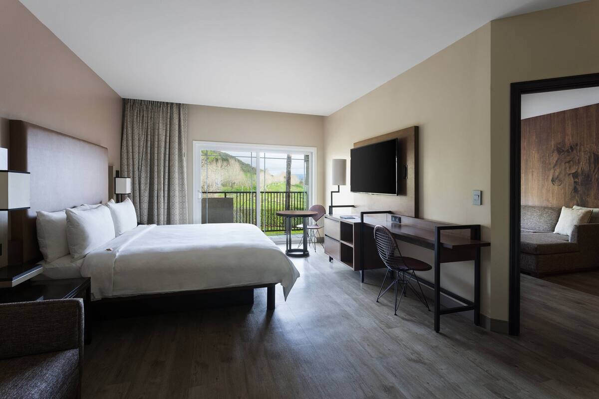 A hotel room with a large bed, a desk with a chair, a TV, and a balcony with a view of the outdoors.