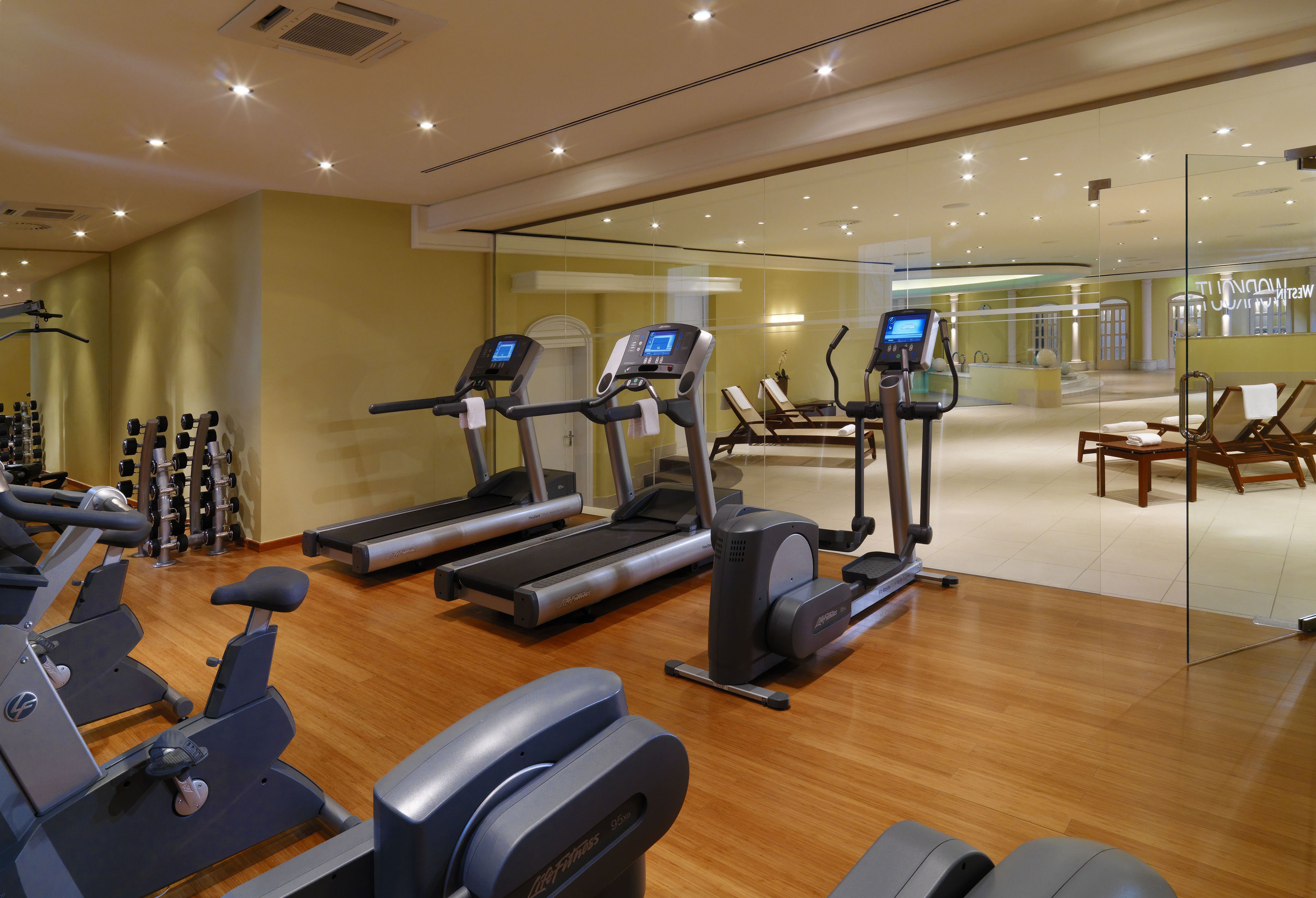 A gym with treadmills, stationary bikes, and rowing machines.