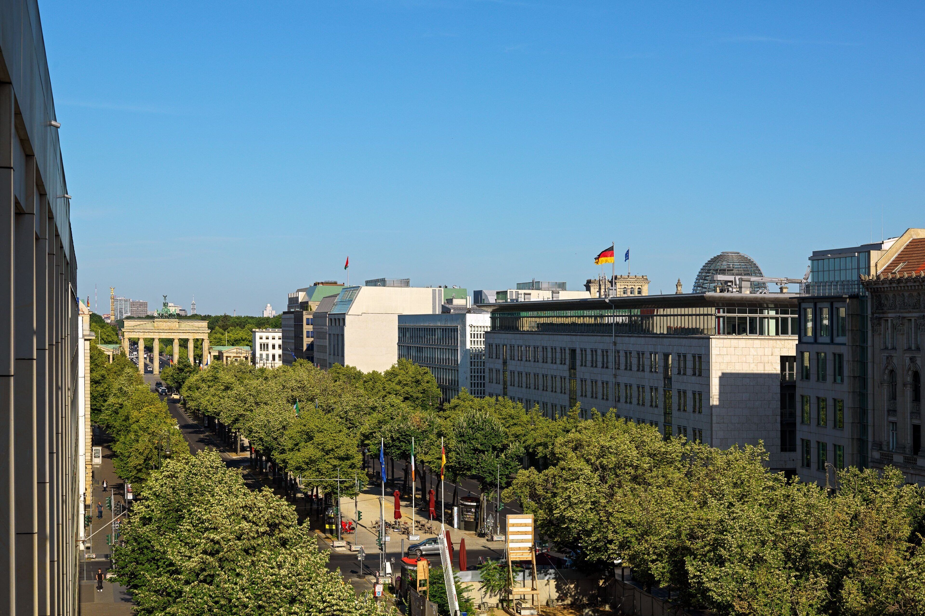 Un paysage urbain avec des bâtiments modernes, une imposante structure en forme de dôme et une rue bordée d’arbres.