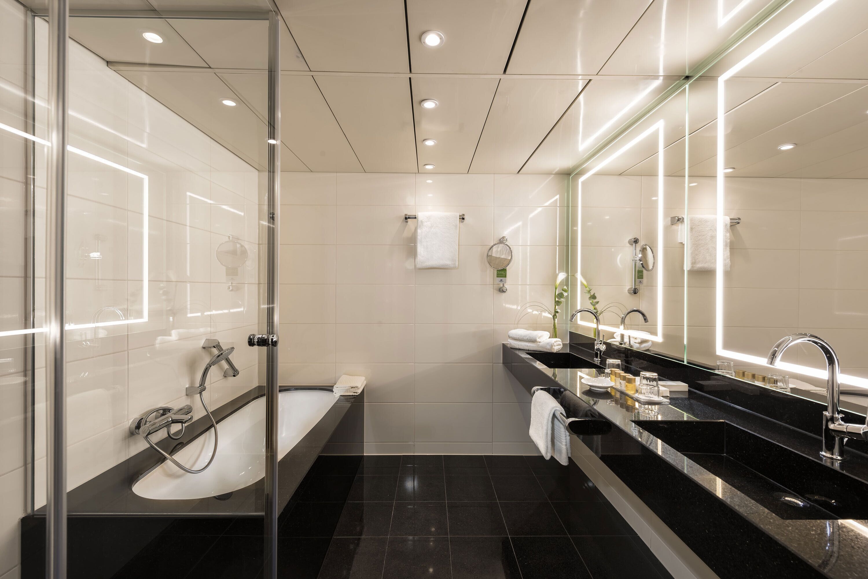 combined shower/bathtub, free toiletries, hair dryer, bidet