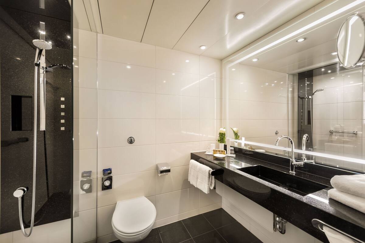 combined shower/bathtub, free toiletries, hair dryer, bidet