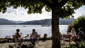Uklassifisert bilde, 2 av 63, knapp