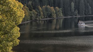 Uklassifisert bilde, 3 av 63, knapp