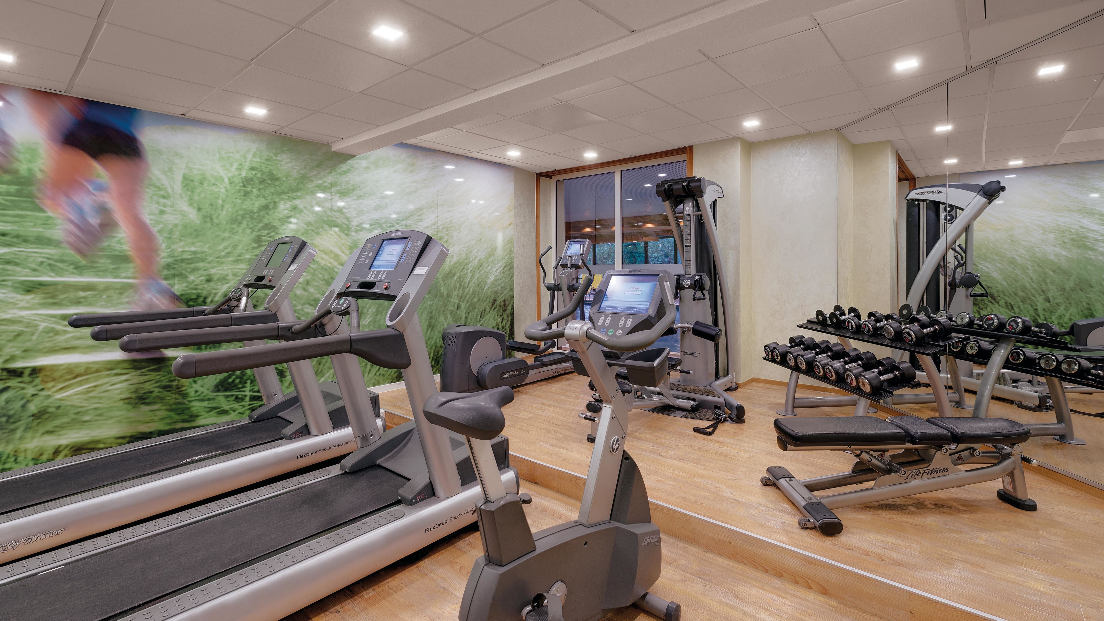 A gym with treadmills, elliptical machines, and a bench press.