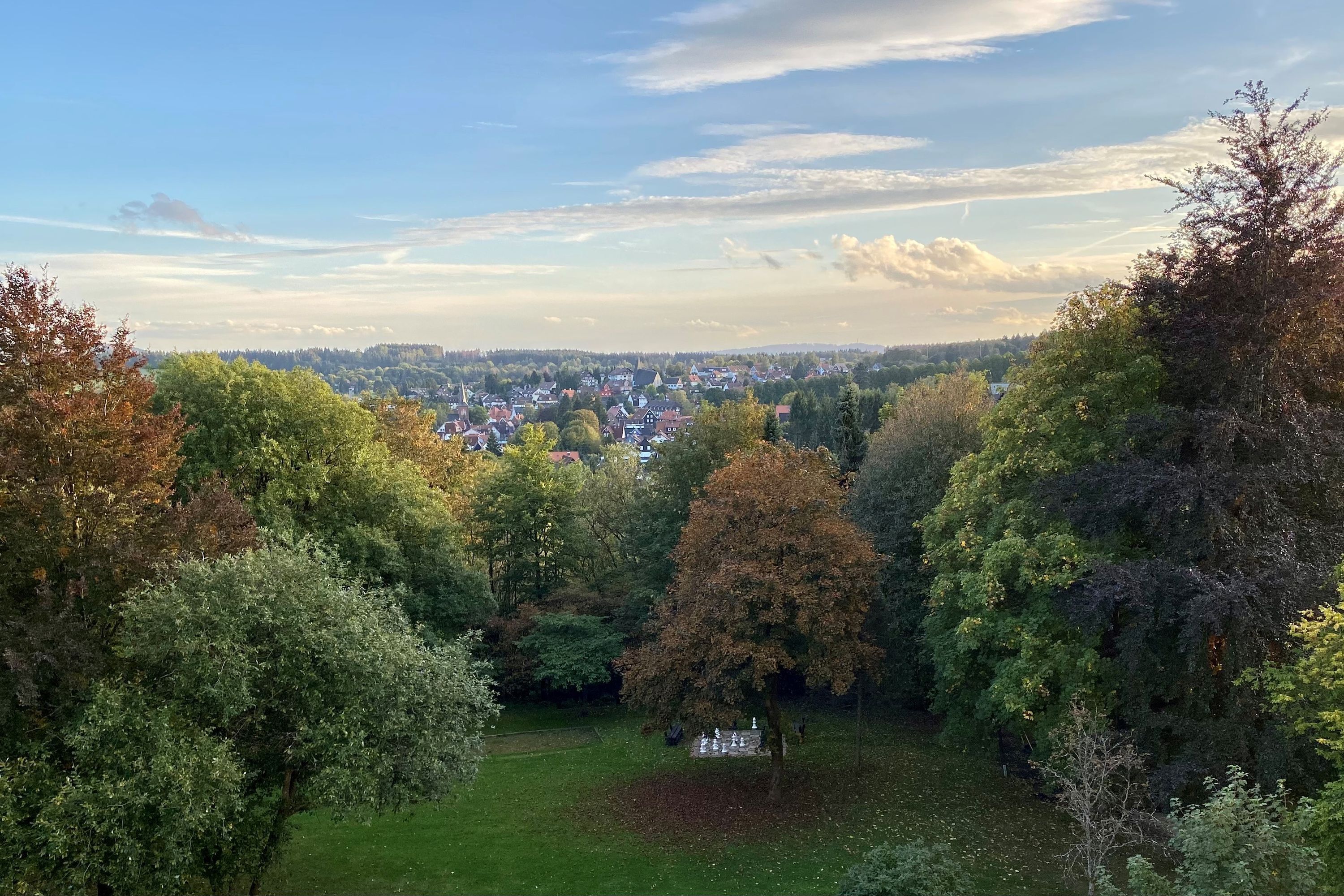 A park with a fountain, surrounded by trees and a distant town view.