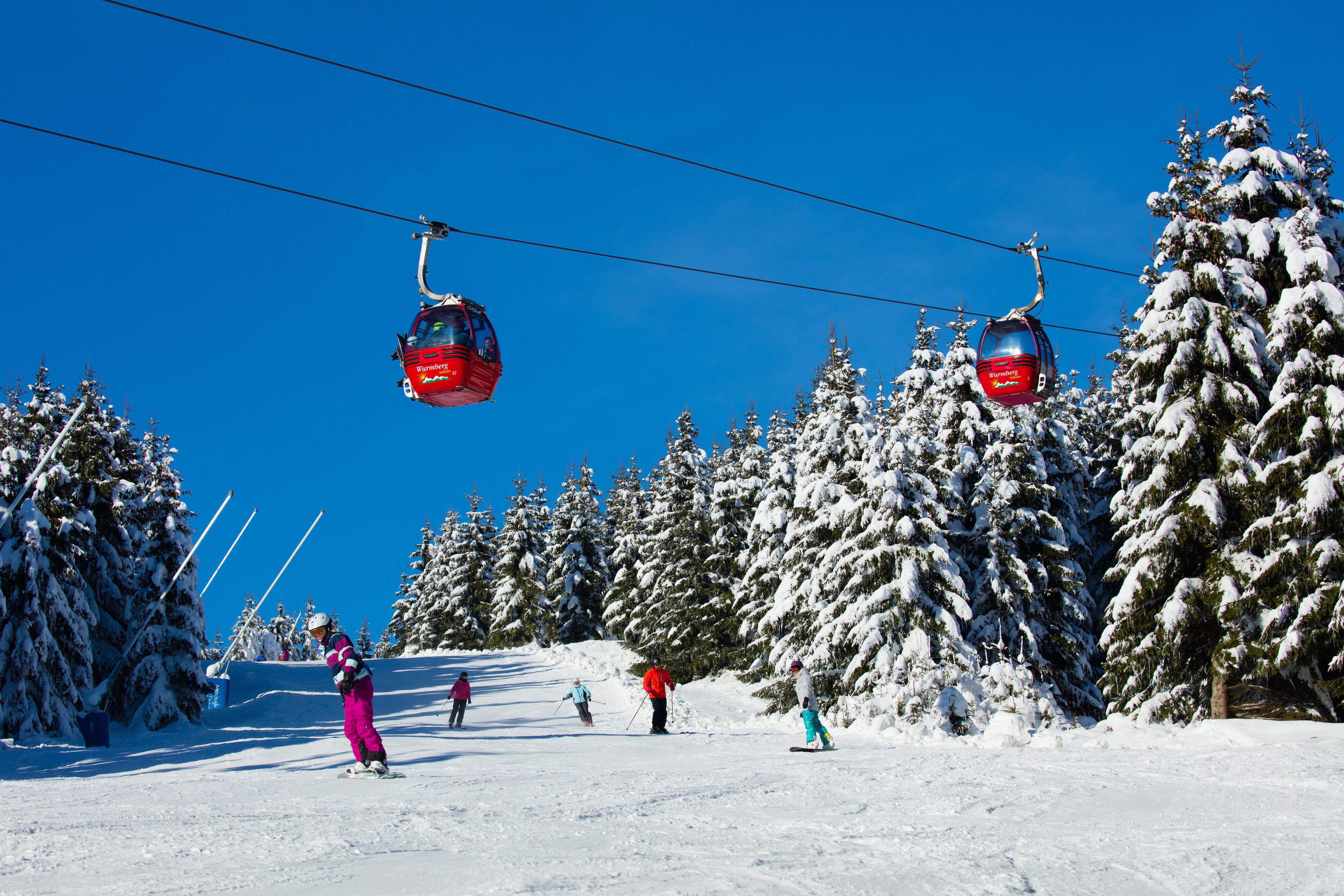 A ski lift with cabins moving along a cable, surrounded by snow-covered trees.