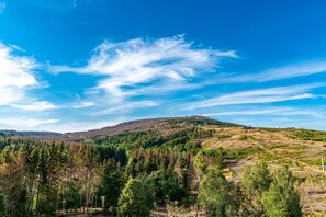 Panoramic Room, 1 Bedroom, Balcony, Valley View | View from room
