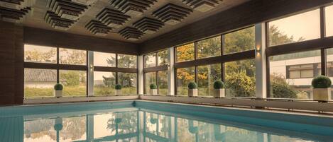 An indoor swimming pool with clear reflections, large windows, and potted plants.