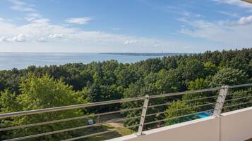 Ein Balkon mit Blick auf einen Wald und ein Gewässer.