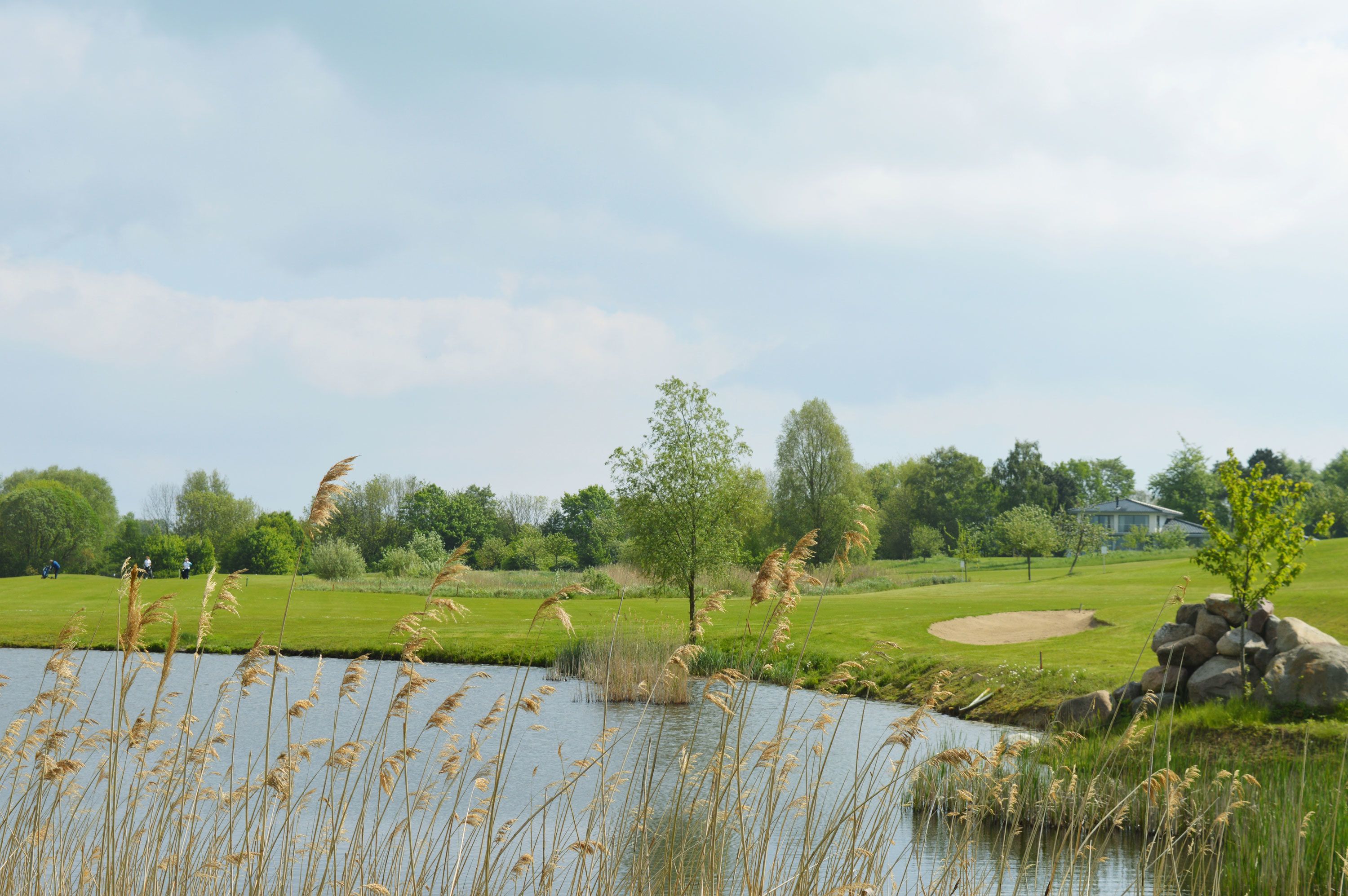 A golf course with a pond, trees, and a house in the background.