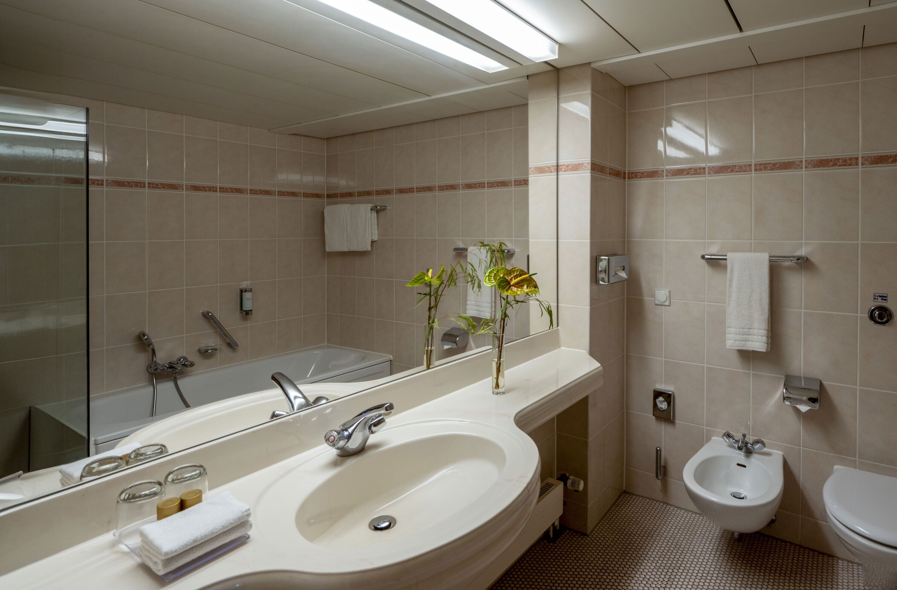 Ein Badezimmer mit einem großen Waschbecken, Spiegel, Bidet und einem Handtuchhalter.