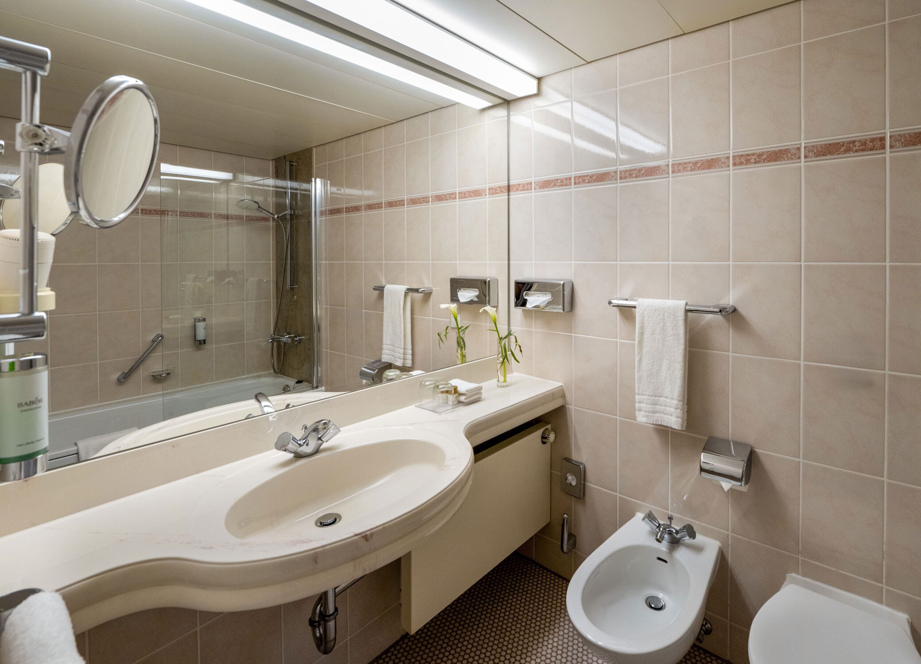 A modern bathroom with a large sink, a bidet, a mirror, and a towel rack.