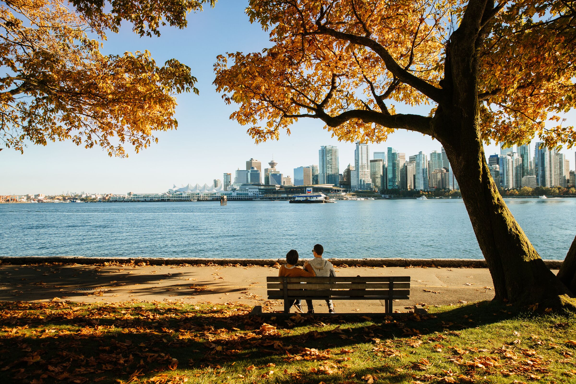 A bench by a waterfront with a city skyline in the background.