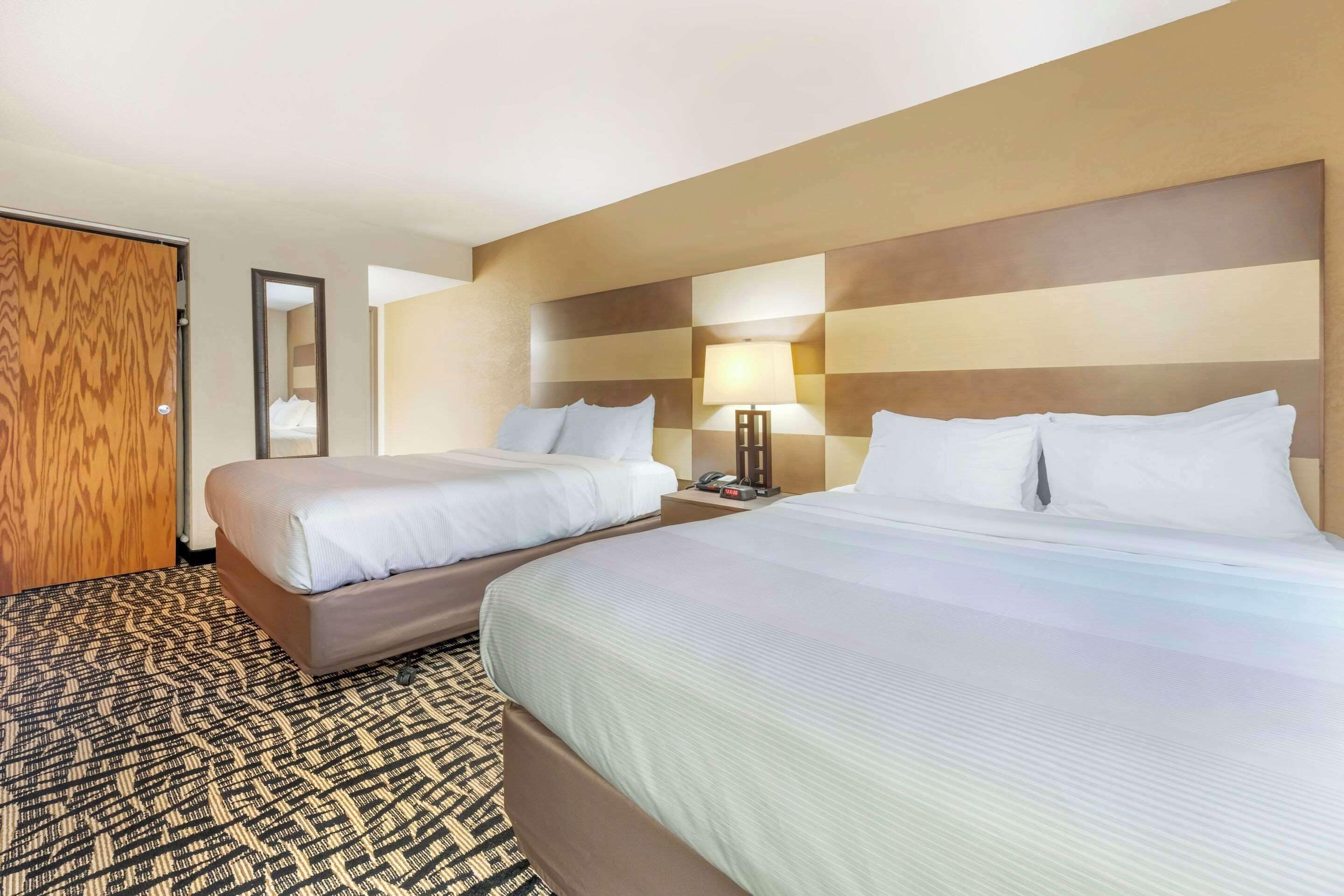 family suite, 2 queen beds | 1 bedroom, down duvets, desk, laptop workspace