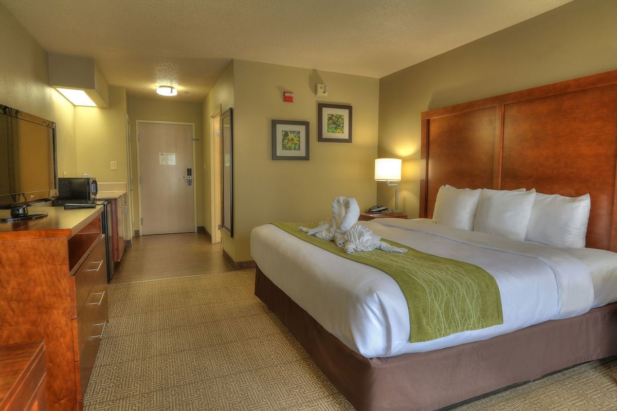 Premium bedding, in-room safe, blackout curtains, iron/ironing board