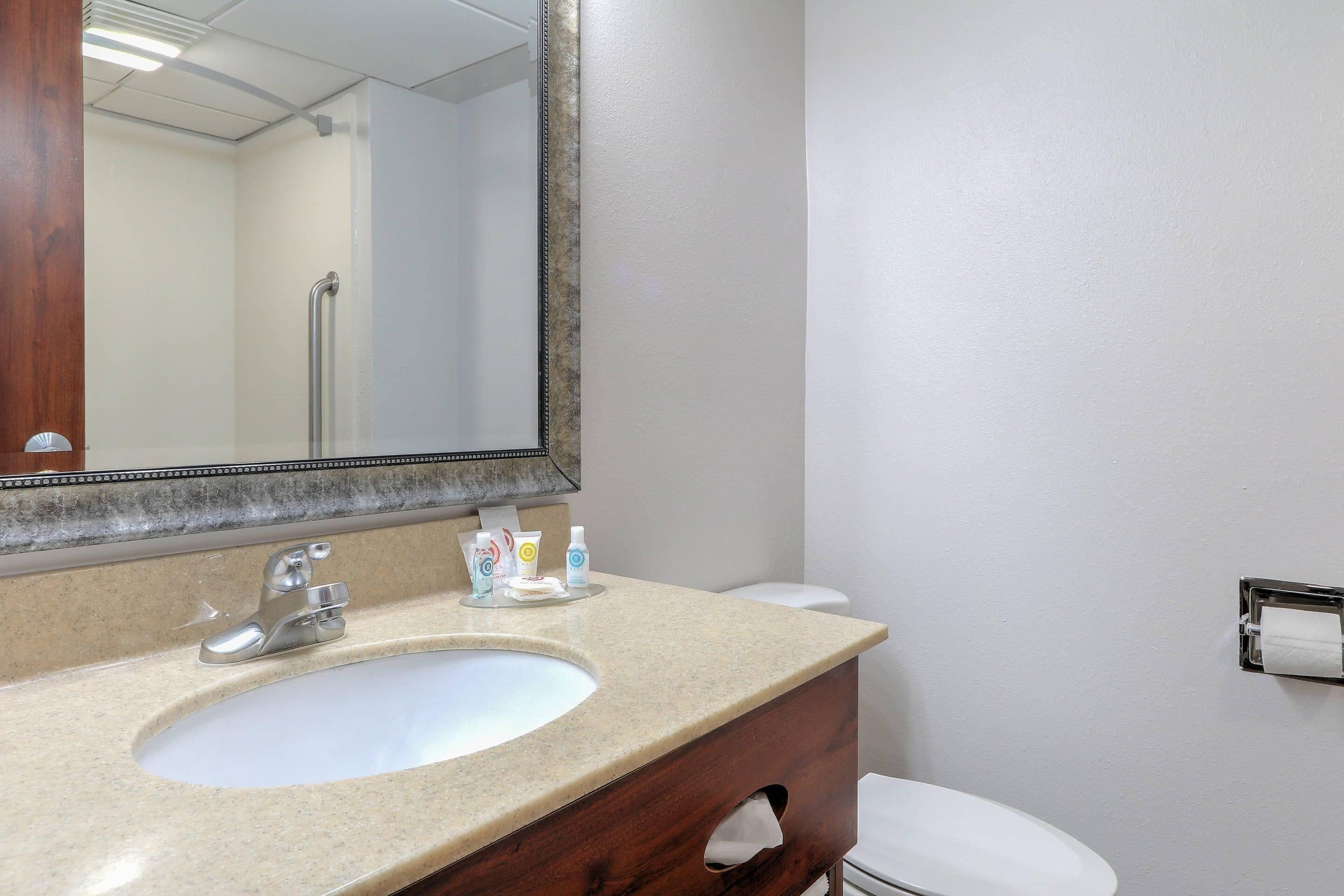 A bathroom with a sink, mirror, and toilet.