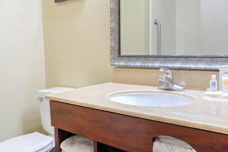 Comfort Inn Suites At Dollywood Lane - Image 28
