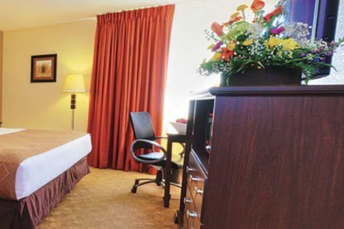 Premium bedding, pillow-top beds, desk, blackout curtains