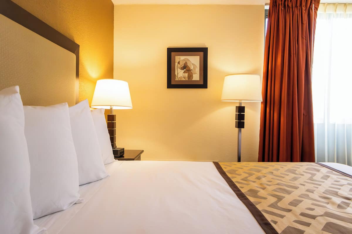 أغطية فراش متميزة وأسرّة بطبقة علوية مريحة ومكتب وستائر تعتيم