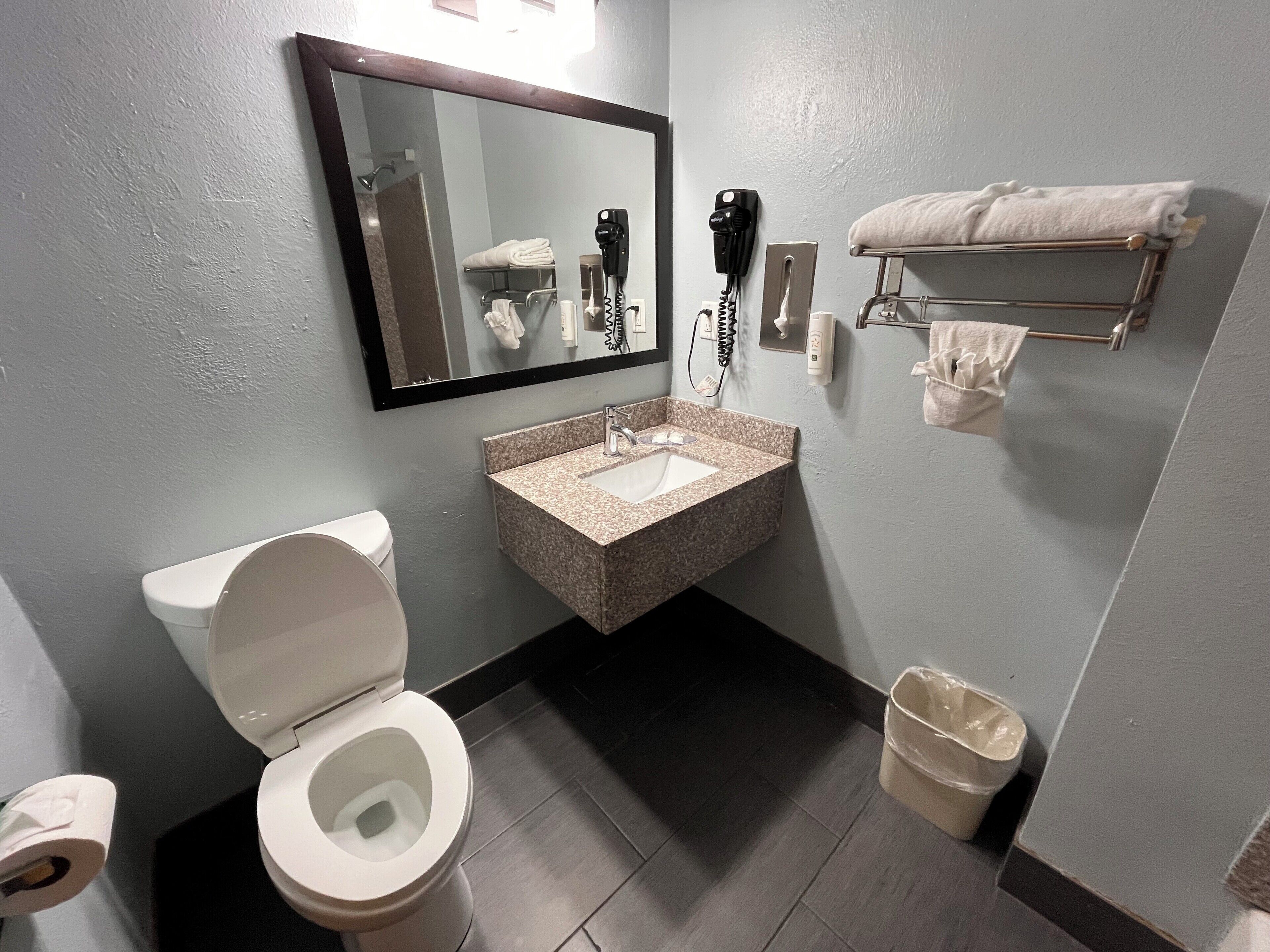 Een badkamer met toilet, wastafel, spiegel, handdoekrek en een prullenbak.