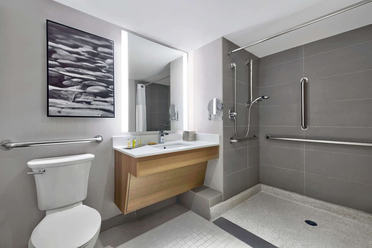 Rom, 1 kingsize-seng, tilgjengelighetstilpasset (Mobility & Roll-In Shower) | Dusj på badet