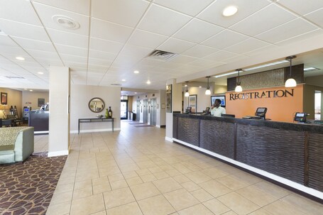 Rosen Inn, closest to Universal - Image 56