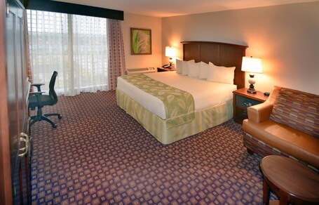 Rosen Inn, closest to Universal - Image 37