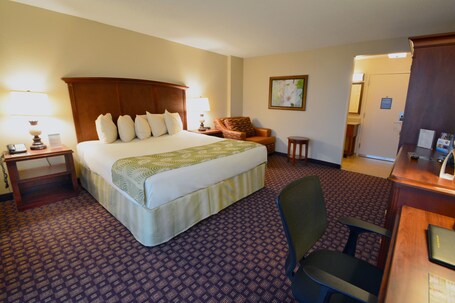 Rosen Inn, closest to Universal - Image 52