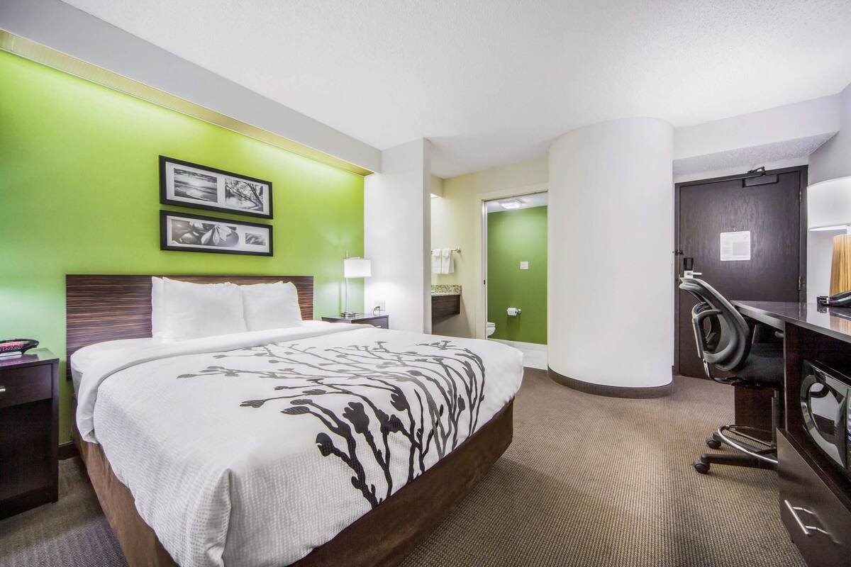 A hotel room with a large bed, a desk with a chair, a mirror, and a green accent wall.