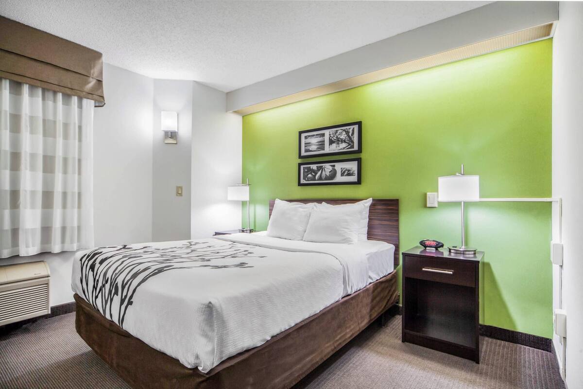 A hotel room with a large bed, two bedside tables with lamps, a green accent wall, and a window with curtains.
