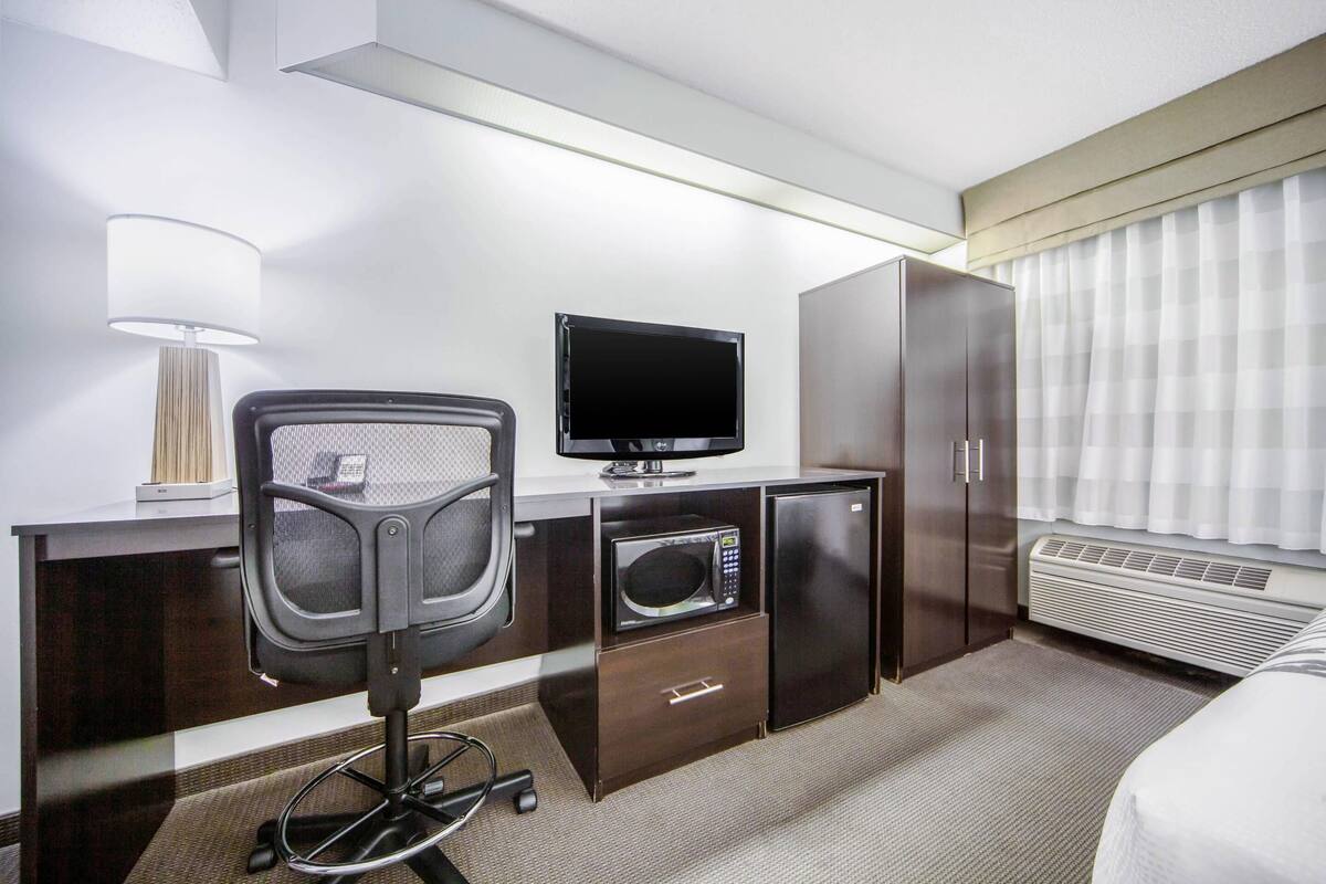 standard room, 1 queen bed, accessible, non smoking | premium bedding, in-room safe, iron/ironing board, free cots/infant beds