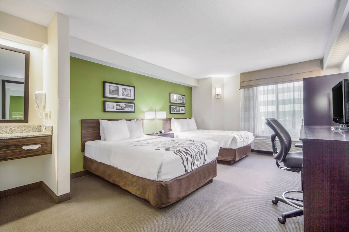 Standard Room, 2 Double Beds