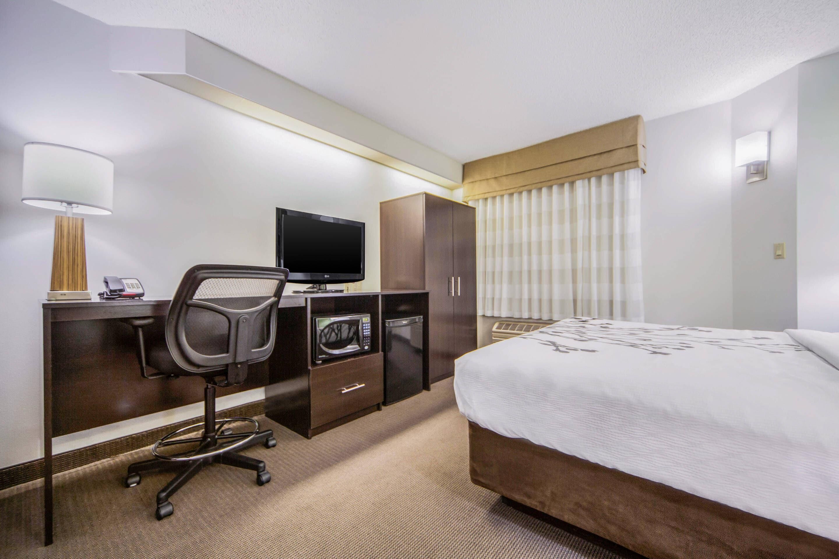 standard room, 1 queen bed | premium bedding, in-room safe, iron/ironing board, free cots/infant beds