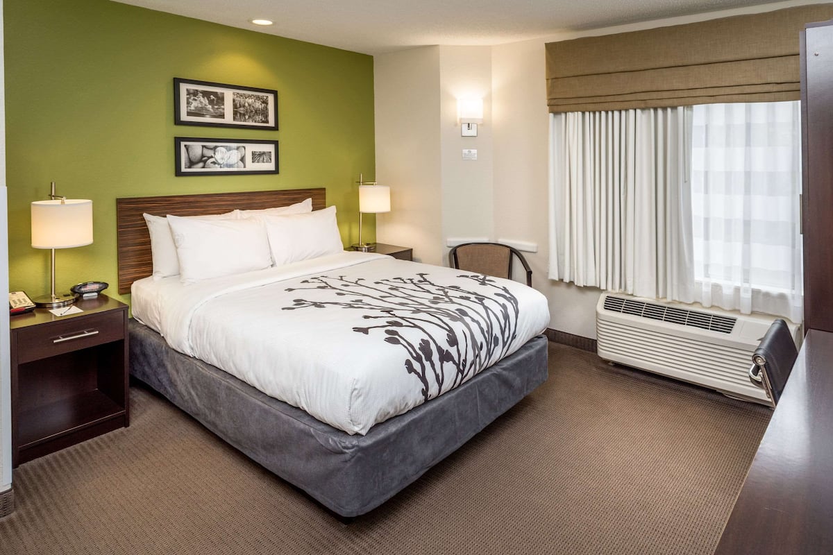 standard room, 1 queen bed, non smoking | desk, blackout curtains, iron/ironing board, free cots/infant beds