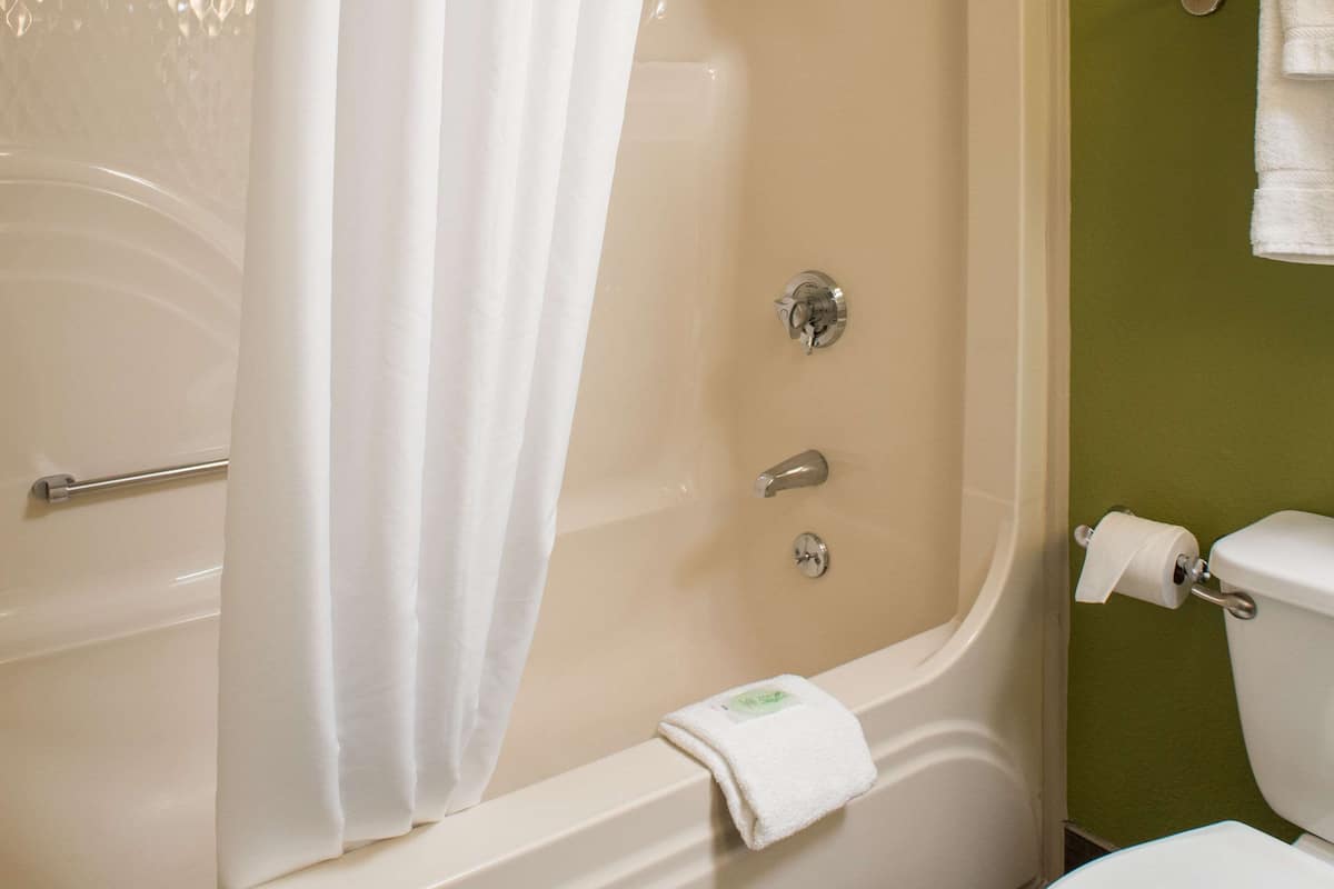 free toiletries, hair dryer, towels