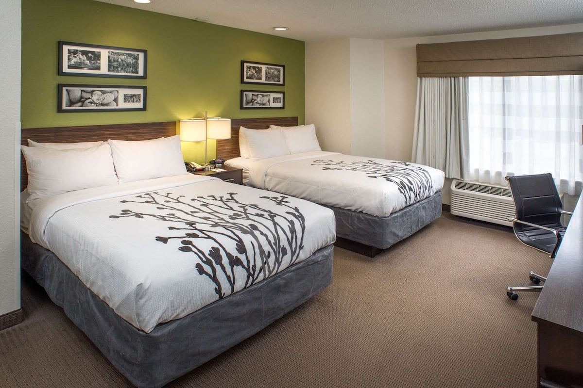 standard double room, 2 double beds, non smoking | desk, blackout curtains, iron/ironing board, free cots/infant beds