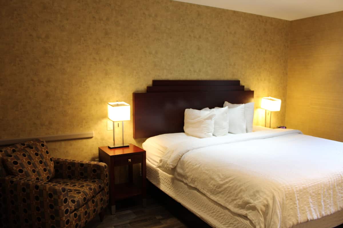 Pet-Friendly King Room - Near Bar, Non-Smoking | 1 bedroom, Egyptian cotton sheets, premium bedding, down comforters